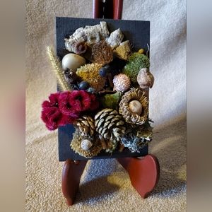 Natural Home Decor.  Moss Dried Flowers and Seeds